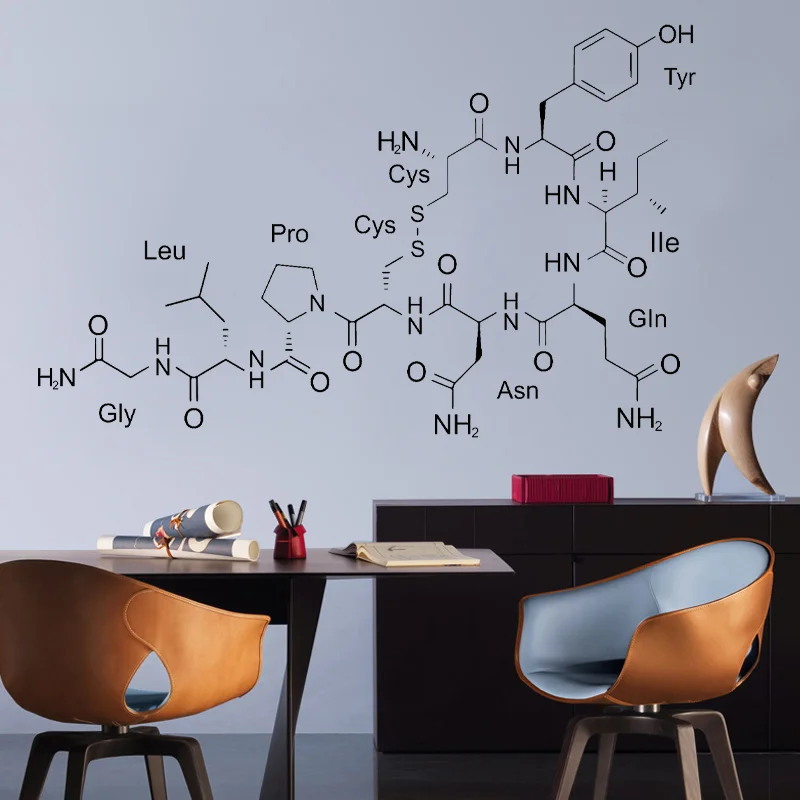 

Science Chemisrty Oxytocin Molecule Vinyl Wall Decal Vinyl Interior Deisgn School Decor Wall Sticker Reading Room Wallpaper 4473
