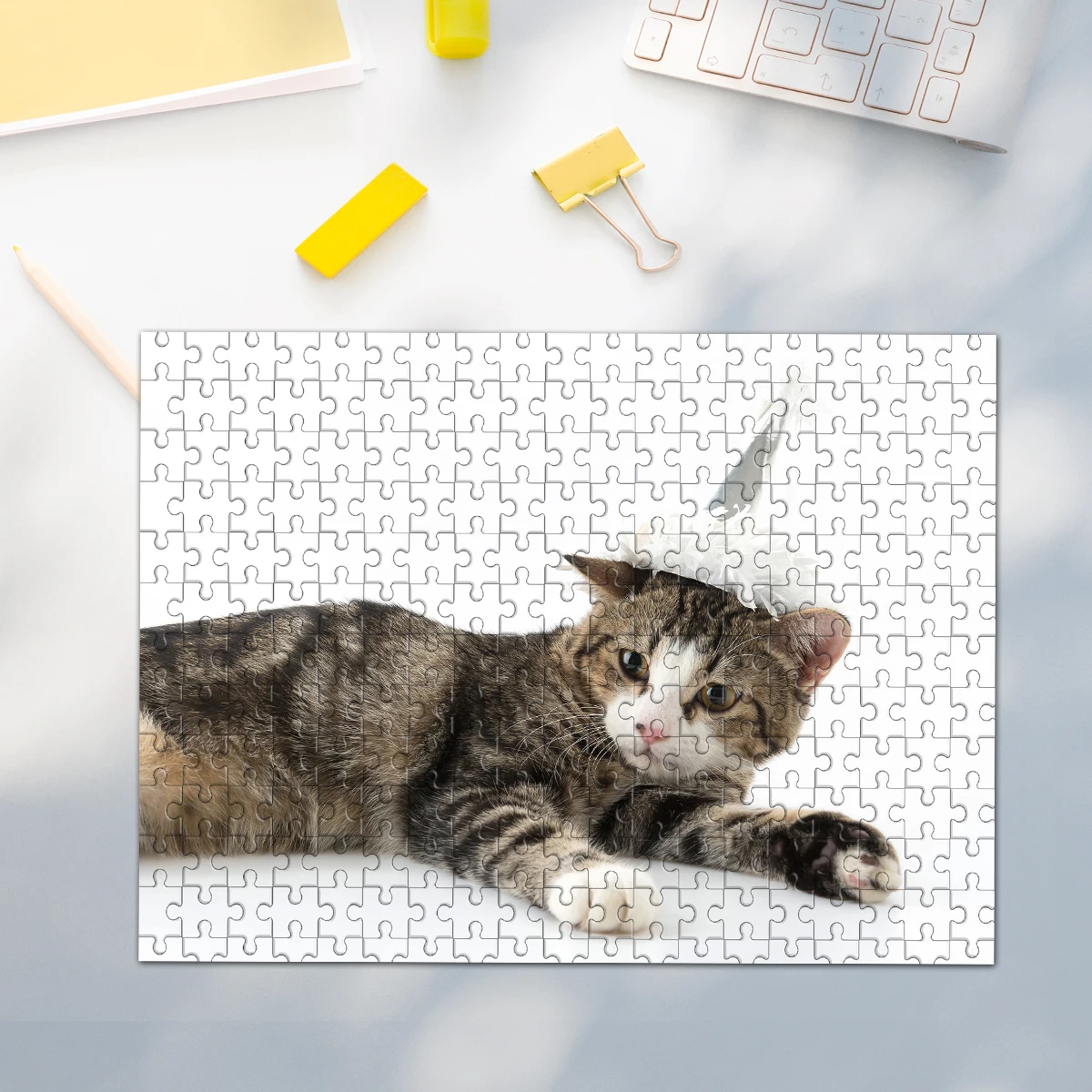 35/300/500/1000Pcs …