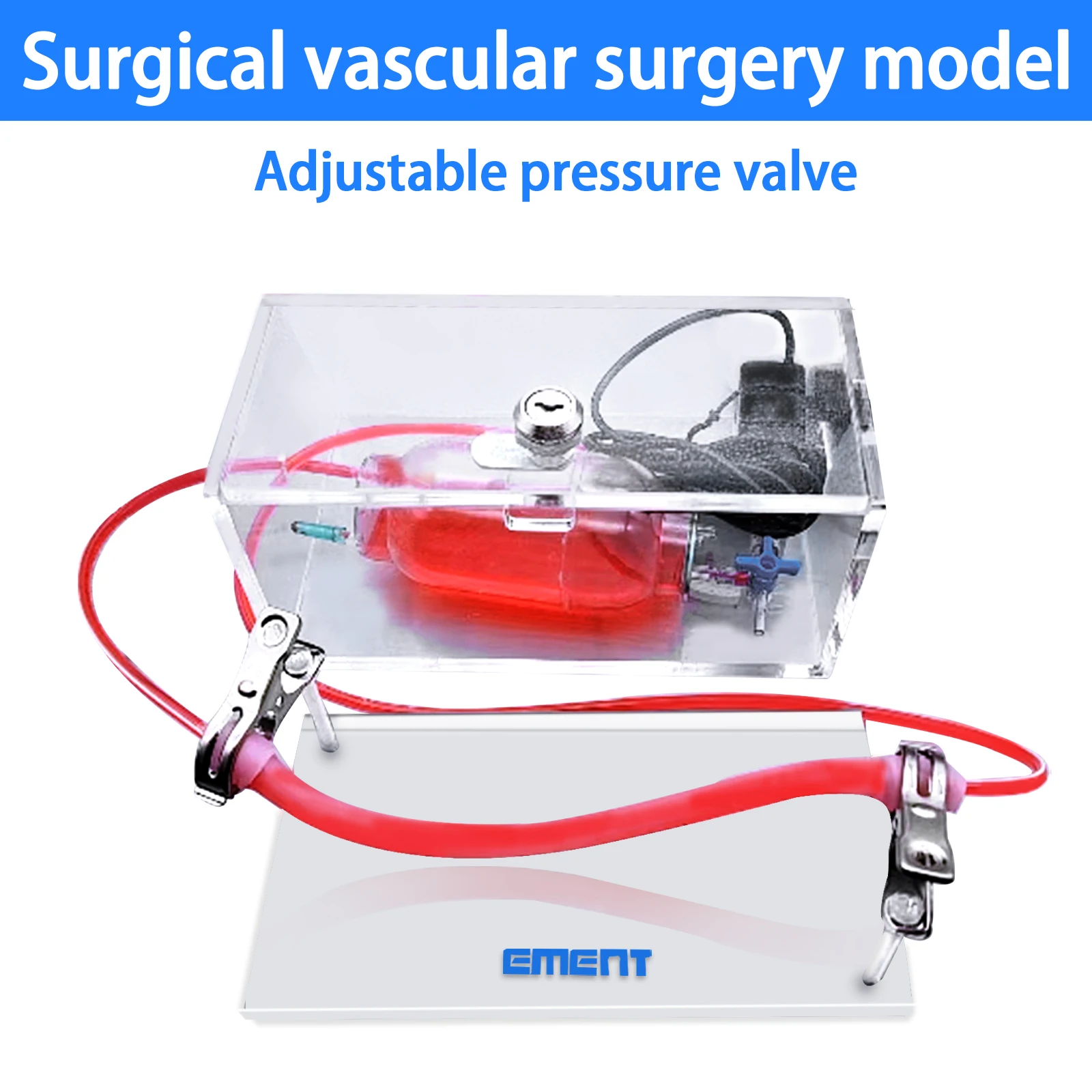 Major Vessel Surgery​，Aortic Surgery，Vascular Anastomosis，Endovascular Repair / Procedure Model for Training and Education
