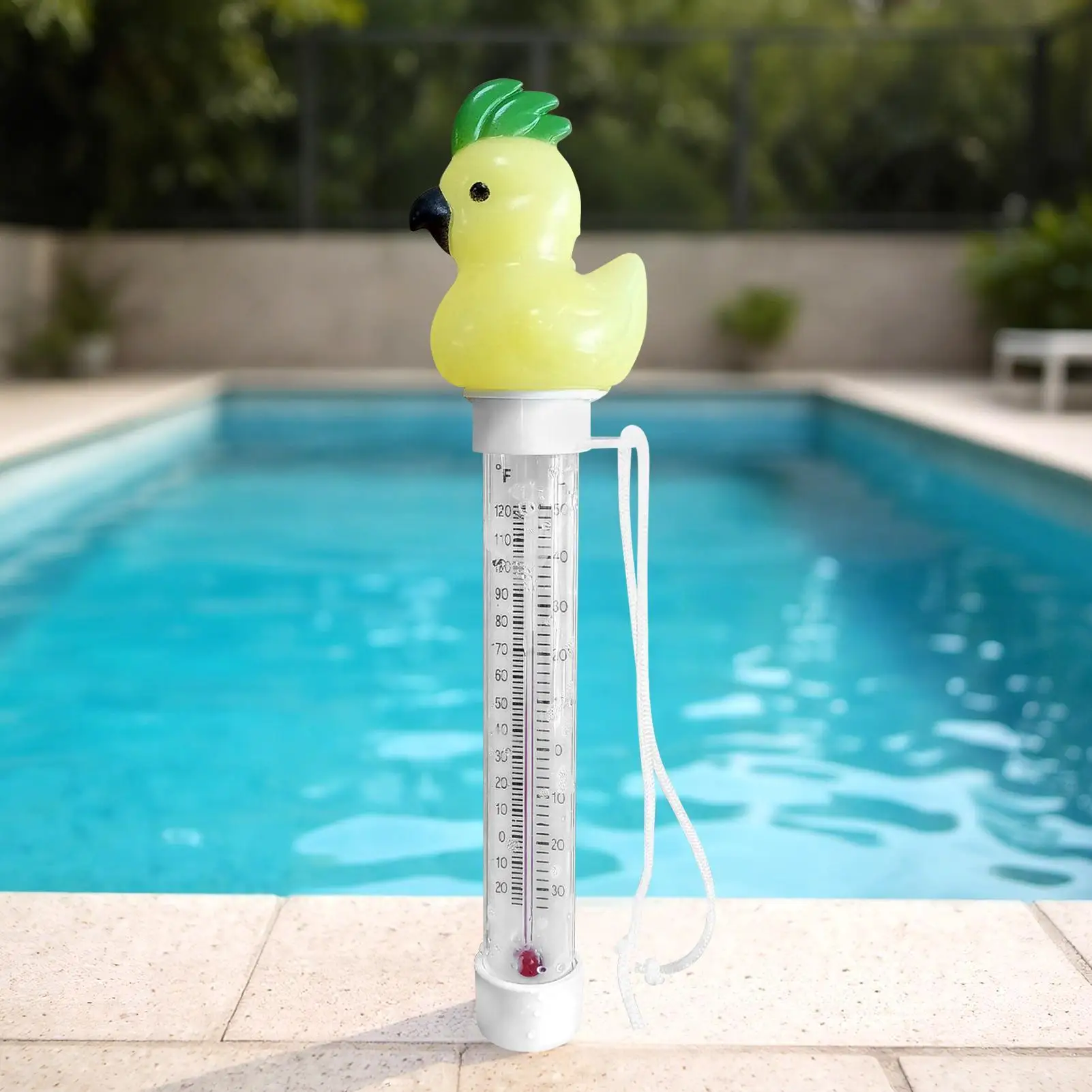 مقياس عائم لحمام السباحة الكرتون مقياس درجة الحرارة العائمة مستشعر درجة الحرارة الدقيق أدوات مقاومة للماء للسباحة في الأماكن المغلقة في الهواء الطلق