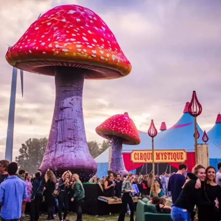 

Customizable Giant Balloon Inflatable Mushroom Blower Led Lighting For Event Wedding Party Bar Store Decoration Outdoor