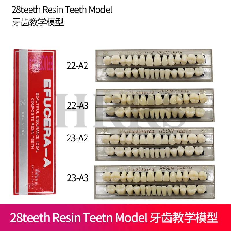 

28 зубов, зубные протезы из смолы, зубы из синтетической смолы, зубы, обучающая модель, модель постоянных зубов, стоматологический материал