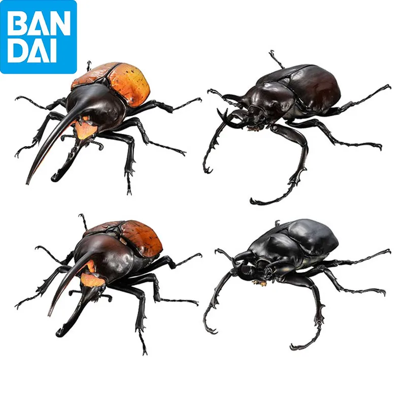 Bandai Genuine Biological Encyclopedia Gashapon Toys Simulation Insects Dynastes Hercules Action Model Decoration Creative Gifts