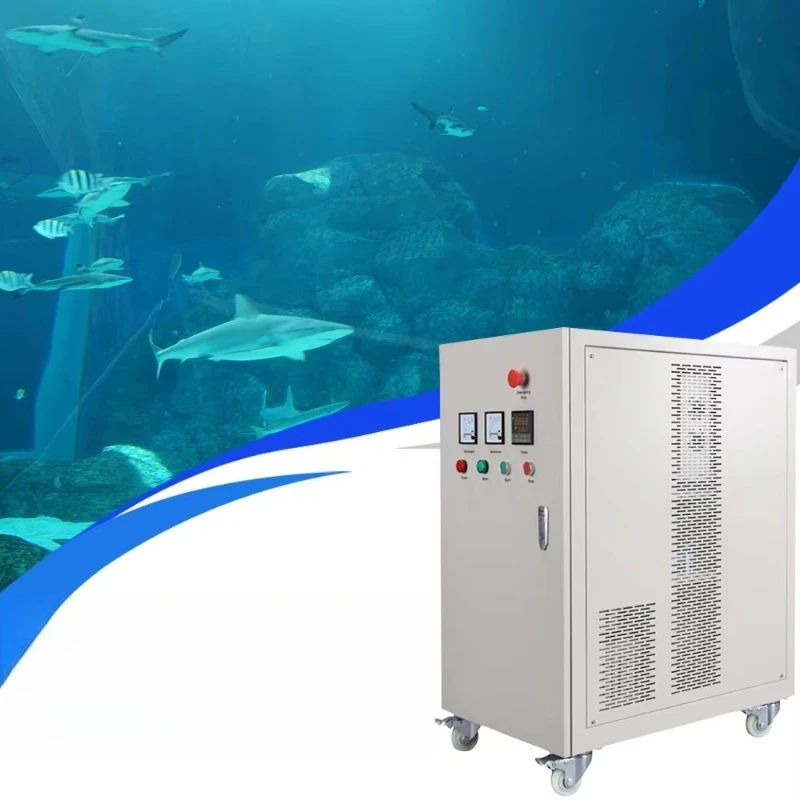 Aquaculture Ozone Generator air Purifier Equipment 30G Built-in Oxygen Generator Ozone Machine