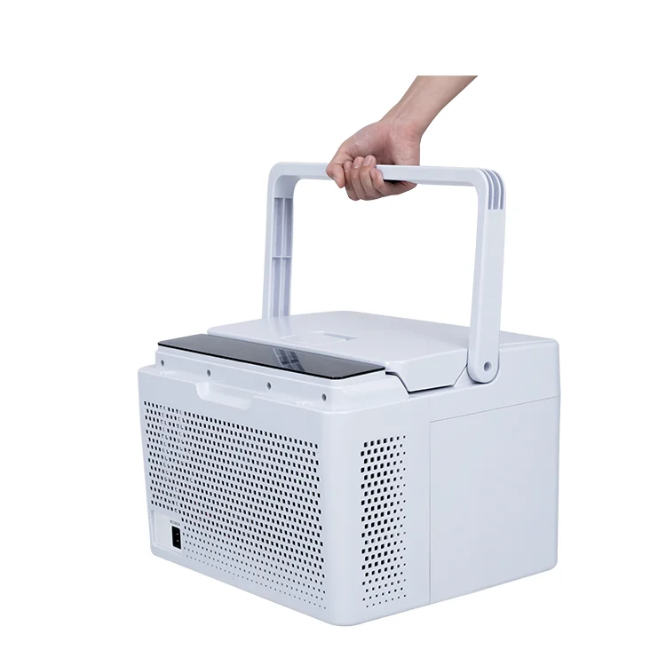 DC12/24V AC220V Ice Food Cooler Box 10.2L Electronic Camping Mini Refrigerator Portable 12v Dc Compressor Car Fridges