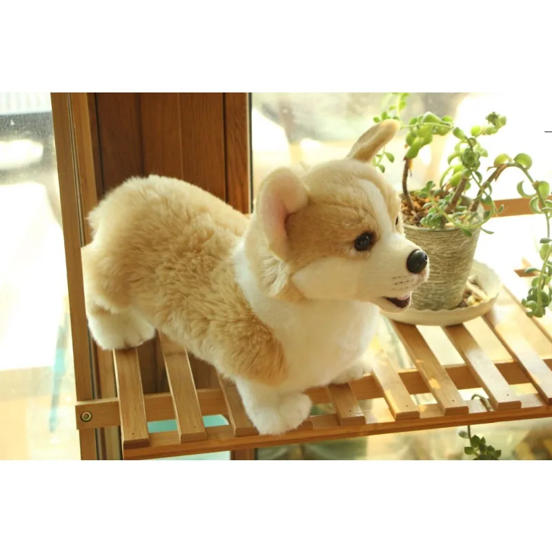 Peluche Corgi da 32 cm, Simpatico Cane di Simulazione, Giocattolo Morbido per Bambini, Regalo di Compleanno, Decorazione, Collezione, Brinquedos