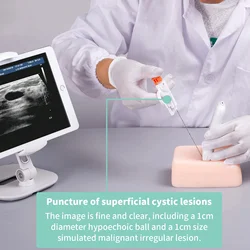 Ultrasonic Puncture Phantom Superficial Lymph Node biopsy Small Lesion Localization Practice Kit Training Teaching Demonstration