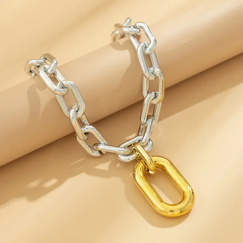 Thick Chains with Big Elliptical Pendant Necklace for Women Trendy Charms Ladies Collar on Neck Accessories 2023 Fashion Jewelry