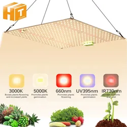 Full Spectrum LED Grow Light High PPFD Sunlike Quantum Grow Lamp LM281B For Indoor Plant Growth Lighting