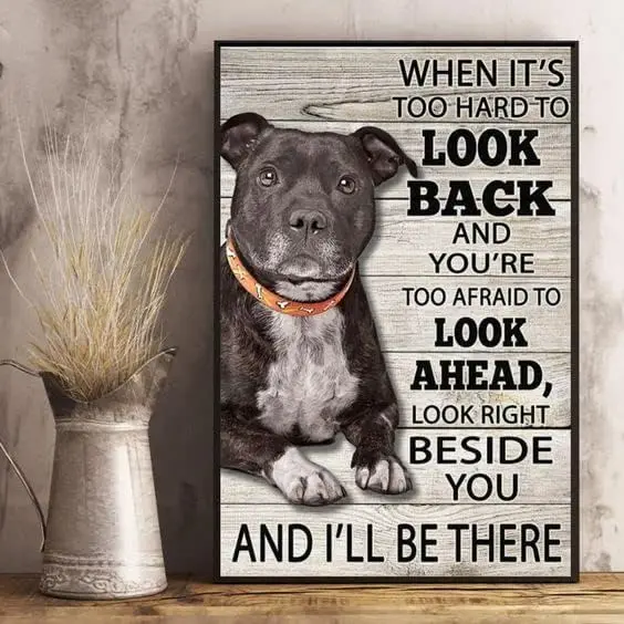 Metal Sign Pitbull When It Is Too Hard To Look Back Vintage Signs Retro Tin Signs Aluminum Iron Sign for Kitchen Home