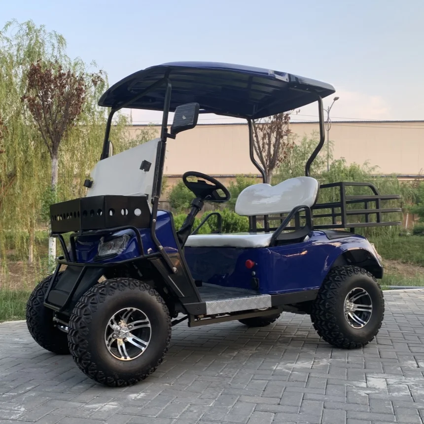 VIP Honoured Guest Hot Sale Customized 4 Wheel Drive Long Endurance Electric Golf Cart Customizable Golf Cart Free Custom Color