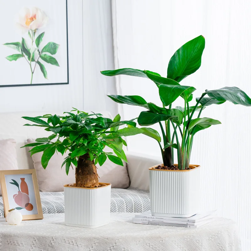 الشمال نمط عمودي شريط مربع الذاتي سقي كسول زارع البلاستيك الراتنج سميكة داخلي شرفة وعاء النباتات الخضراء