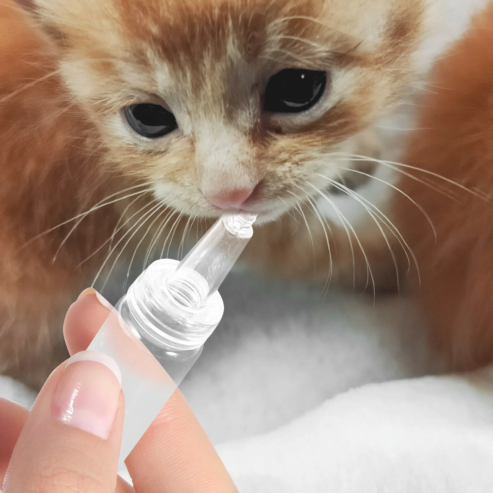 

1Set Small Animal Feeding Bottle Glass Silicone Milk Pet Nursing Supply for Hamster Squirrel Puppy Nursery Small Nursing Bottles