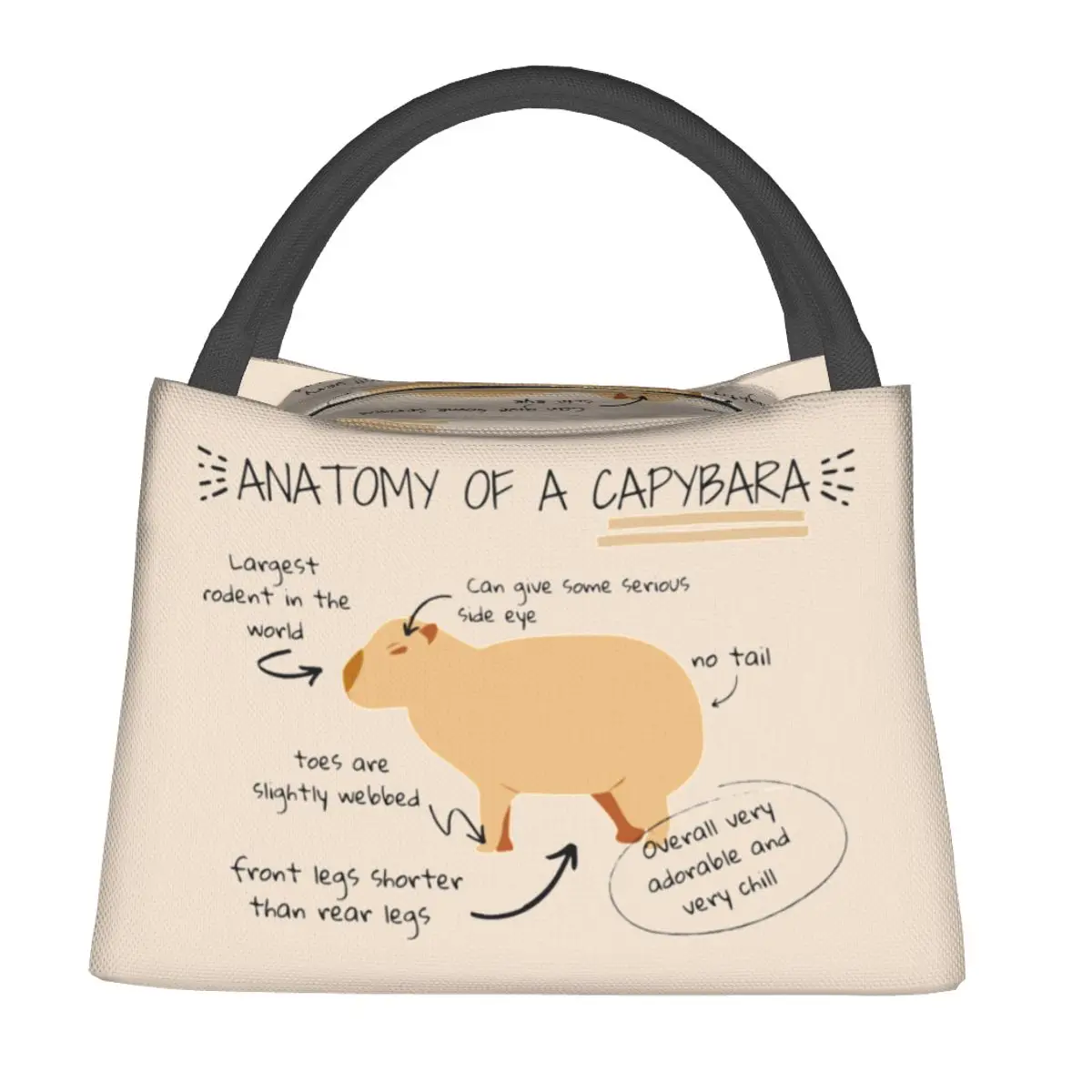 

Anatomy Of Capybara Lunch Bag Animals Convenient Lunch Box School Print Cooler Bag Leisure Oxford Thermal Lunch Bags