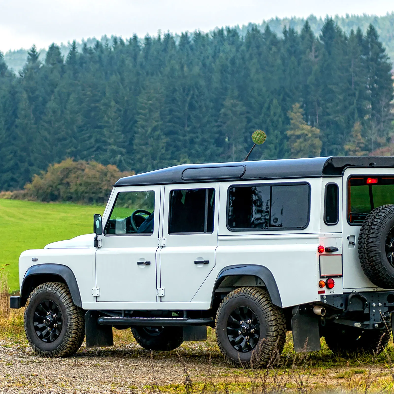 

Foam Ball Car Antenna Topper Cactus Design Exterior Decorations for Cars Trucks Suvs Auto Accessory Decoration Fun