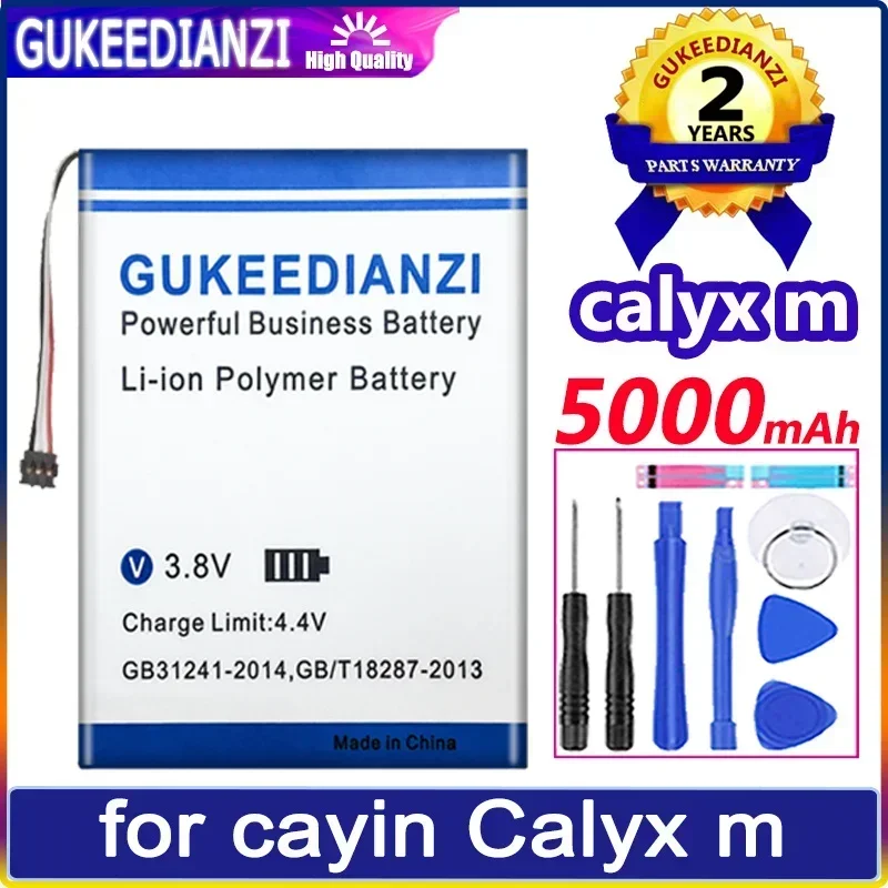 High Capacity Replacement Batteries 5000mAh For cayin Calyx m Battery + Free Tools