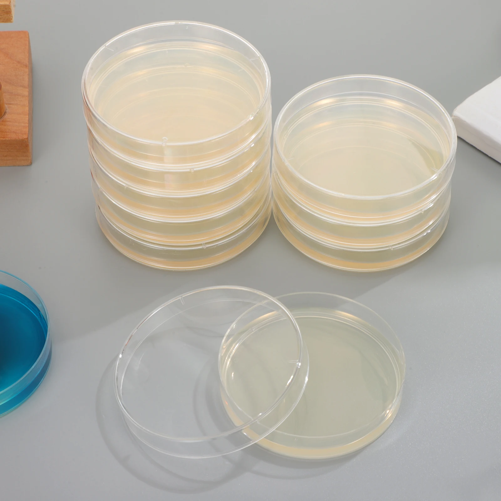 

20 Pcs Nutrient Agar Plates 7cm Pre Poured Petri Dishes for Experiment Laboratory Science Supplies Storage Research