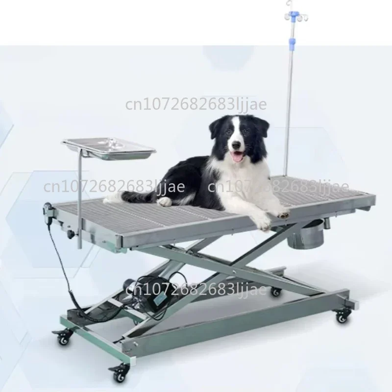 

Animal Clinic Hospital Stainless Steel Animal Surgery