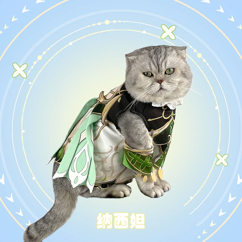 Costume de Cosplay Thème de Dessin Animé Genshin Impact Sumeru Nahida, Vêtements pour Petit Chat, Manteau Uniforme, Ensemble, Accessoires pour Prendre des Photos, Fournitures pour Animaux de Compagnie