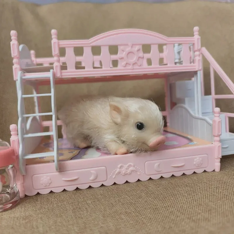 5 Inch Silicone Piglet Doll - Soft Cute Mini Realistic Reborn Newborn Animal with Accessories Decompression Lifelike Toy Gift