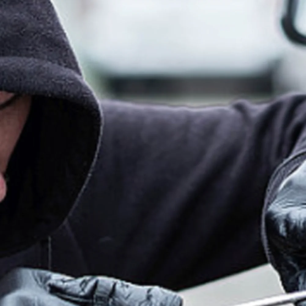 

Car Auto Burglar Alarm Protection 2 Remote Remote Control Door Lock with Siren and Wiring Harness Anti-Theft System Programmable