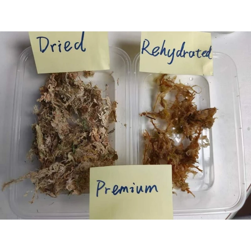 Premium Sphagnum Moss for Orch - Sphagnum Moss Dry recension och pris