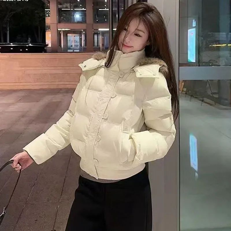 Parkas con capucha y cuello de piel coreana para mujer, chaqueta de invierno acolchada de algodón recortada con diseño a la moda, Parka cálida informal azul para mujer