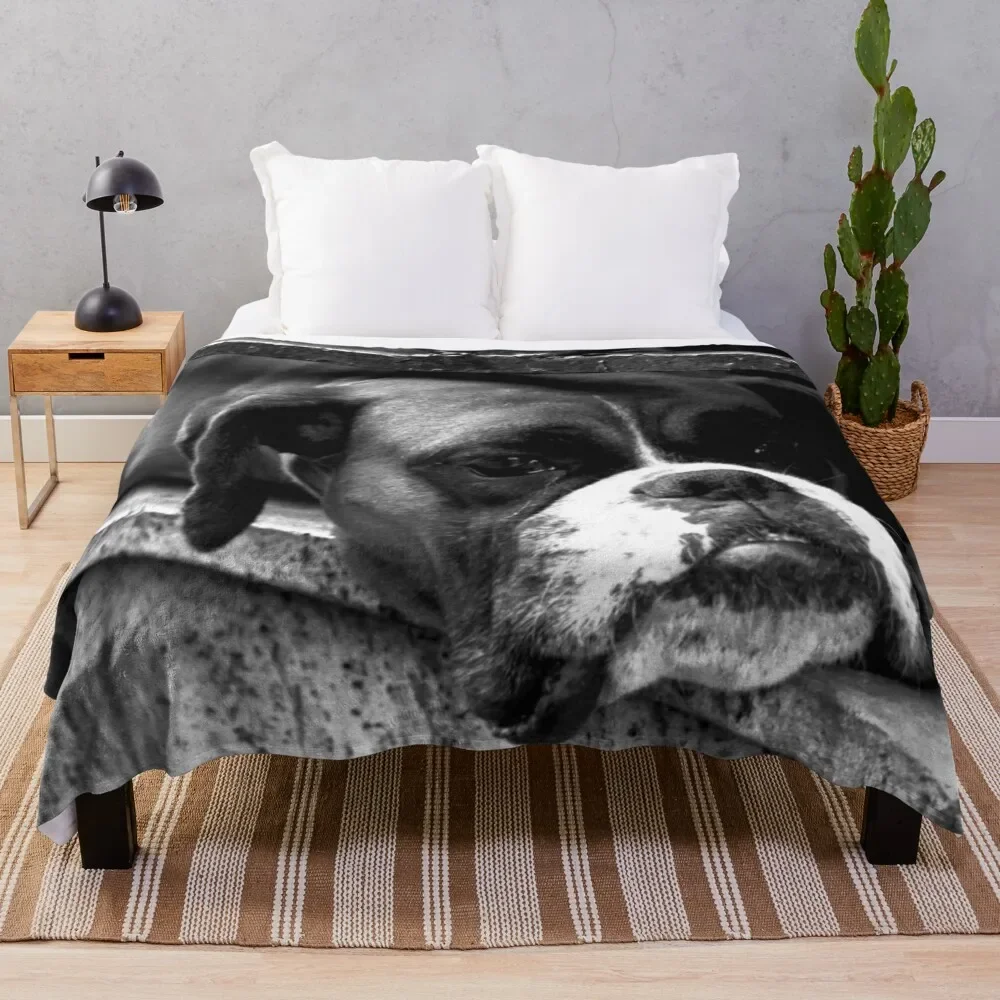 

Boxer Dog On Windowsill Throw Blanket christmas decoration Flannel Plaid Blankets