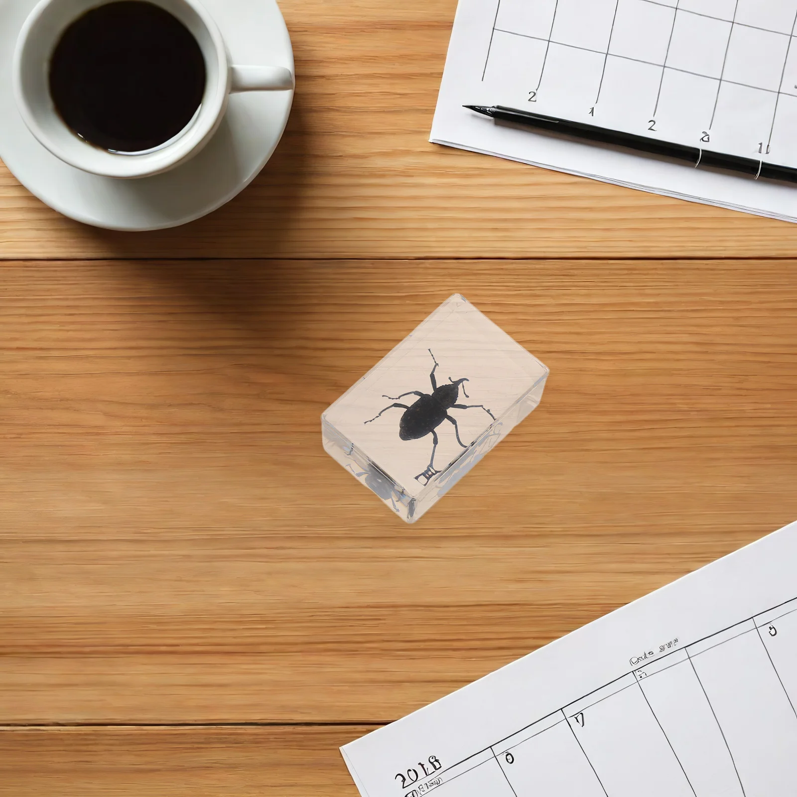 

6 Pcs Beetle Crafts Bugs Collection Paperweights Spider Transparent Resin for