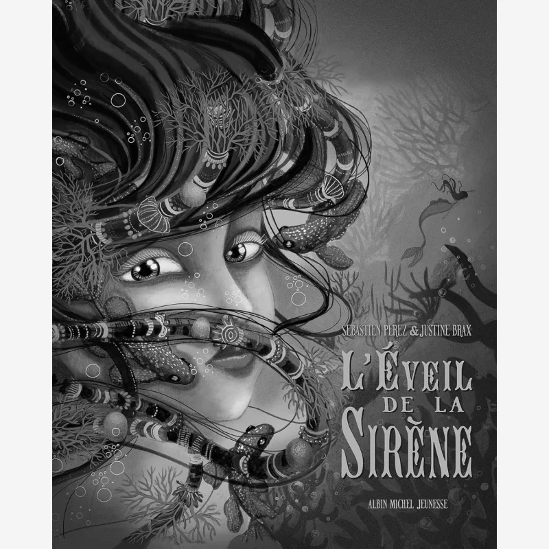 Awakening Of The Mermaid Sebastien Perez Albin MichelJeunesse 9782226496041 Book