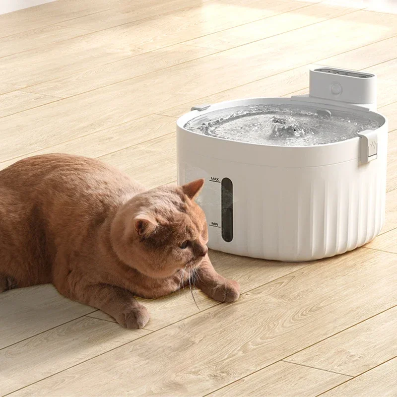 Mangeoire automatique pour animaux de compagnie, fontaine, bol super silencieux pour chien, distributeur d'eau électrique, toilettes pour chats, nouveauté