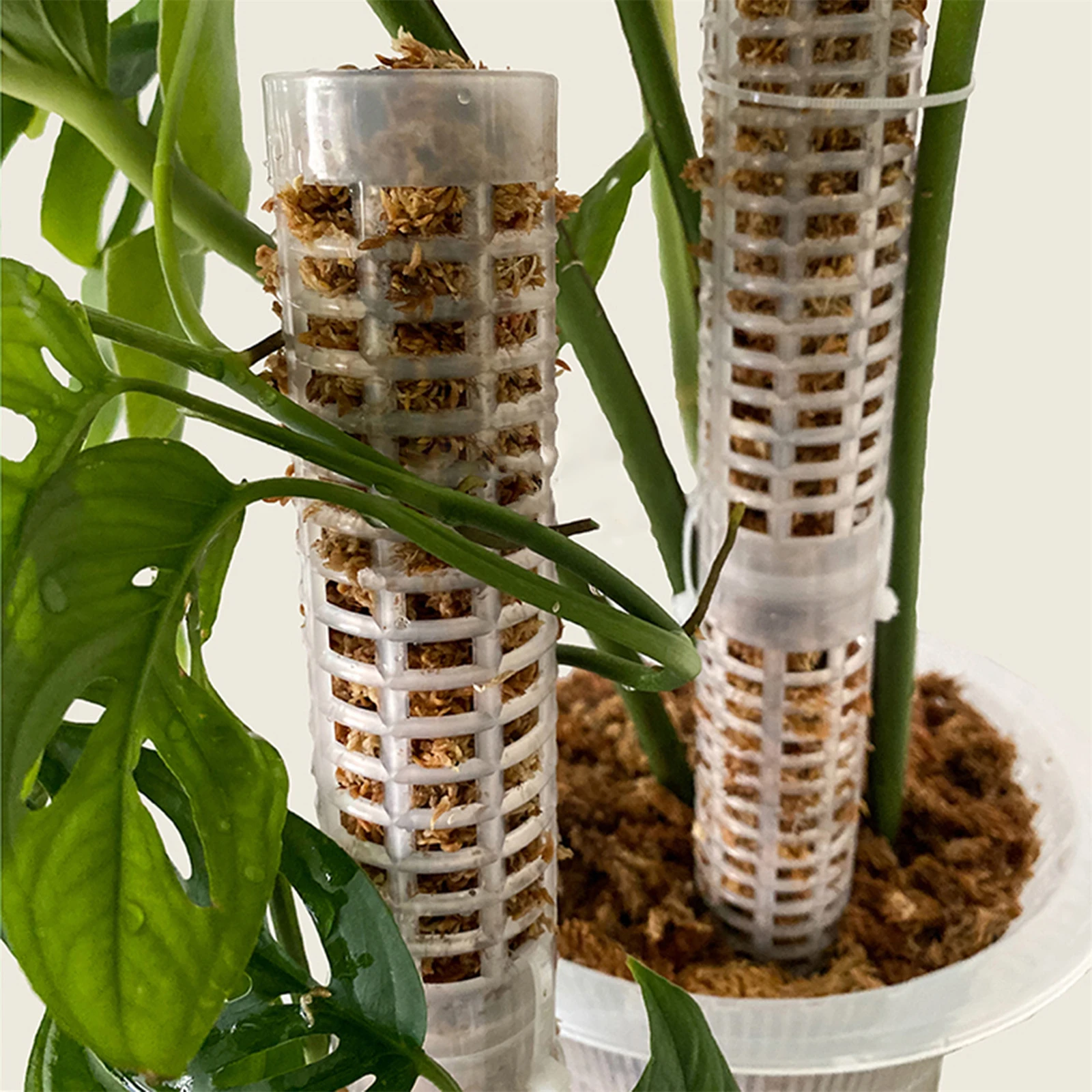 Moss Poles for Climbing Plants - Stackable Plastic Plant Pole Plant Sticks Sphagnum Moss Pole for Climbing Plant Support