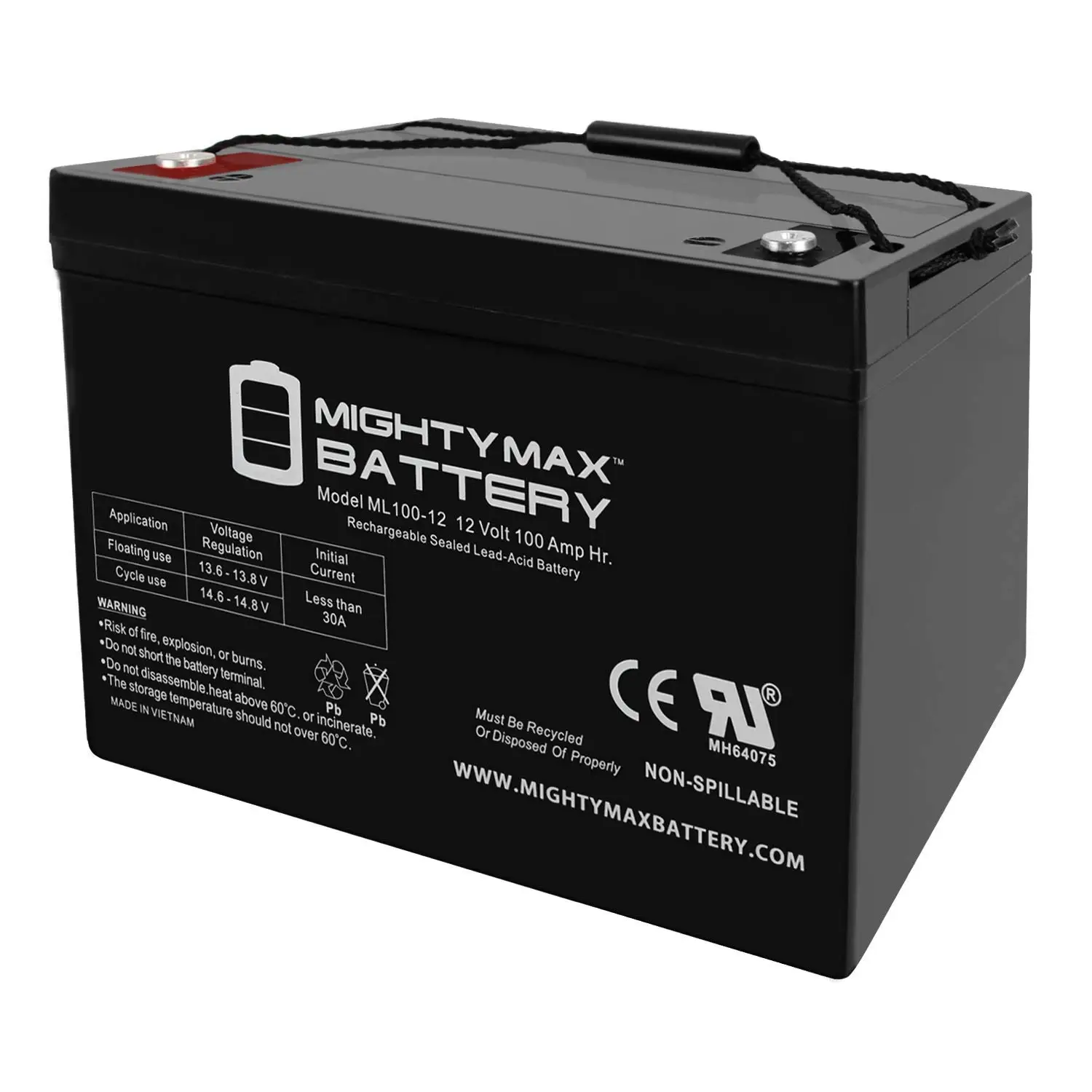 12V 100Ah SLA Battery Replacement for Sump Pump, Customized