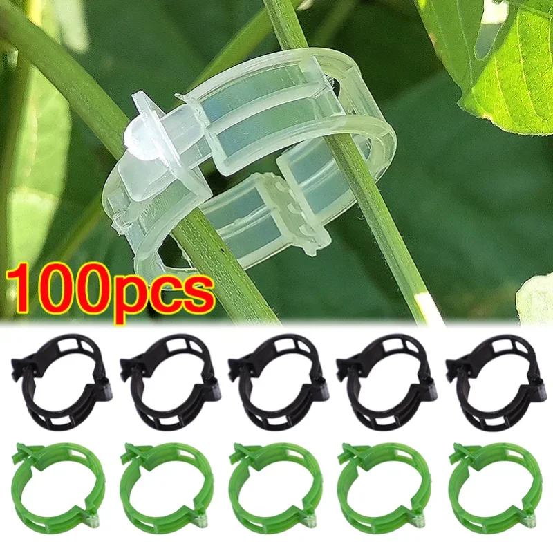 10/100pcs Plastic Plant Clips Supports Connects Reusable Protection Grafting Fixing Tool Gardening Supplies for Vegetable Tomato