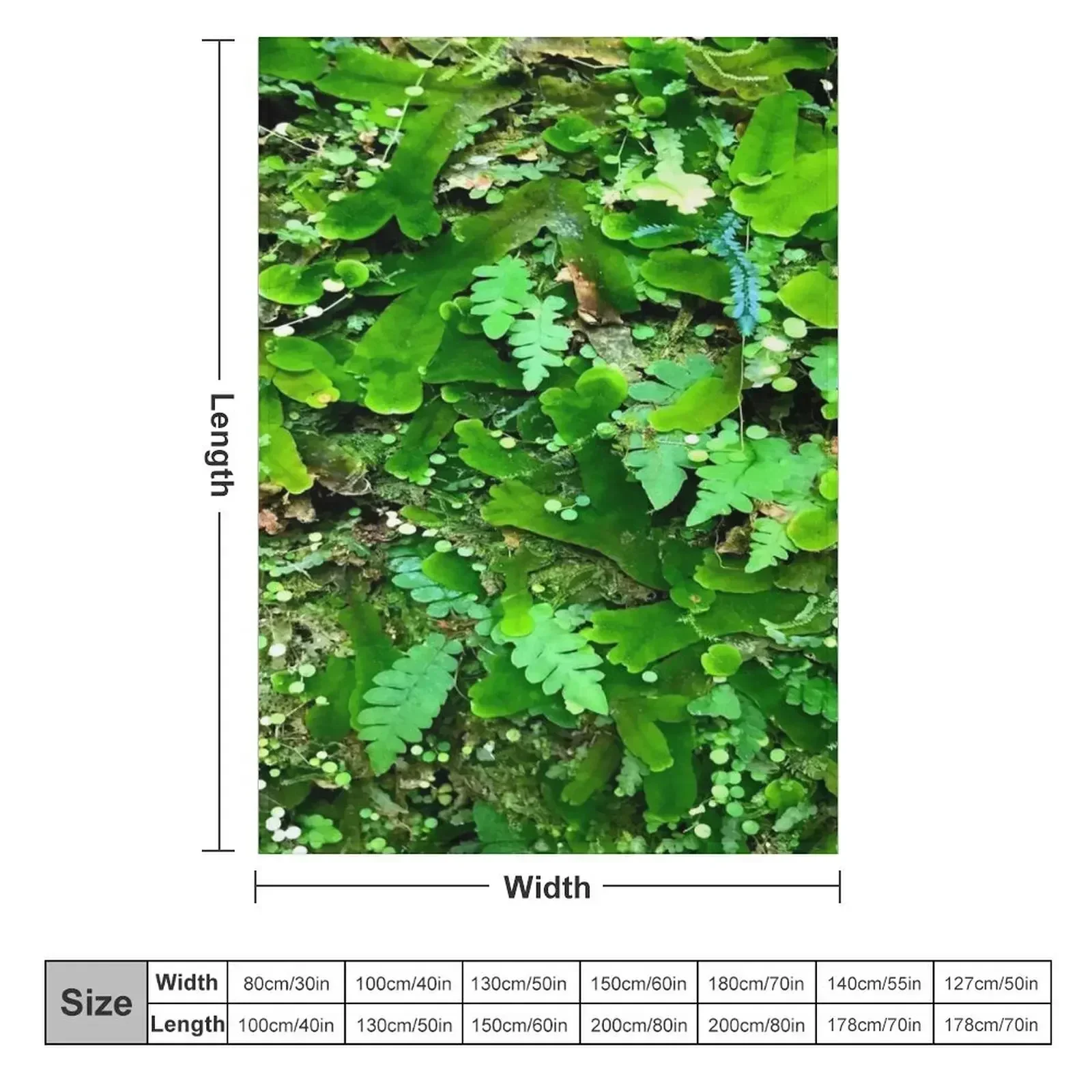 Moss Micro World II Throw Blanket For Decorative Sofa Summer Personalized Gift Hairys Plush Stuffeds Blankets
