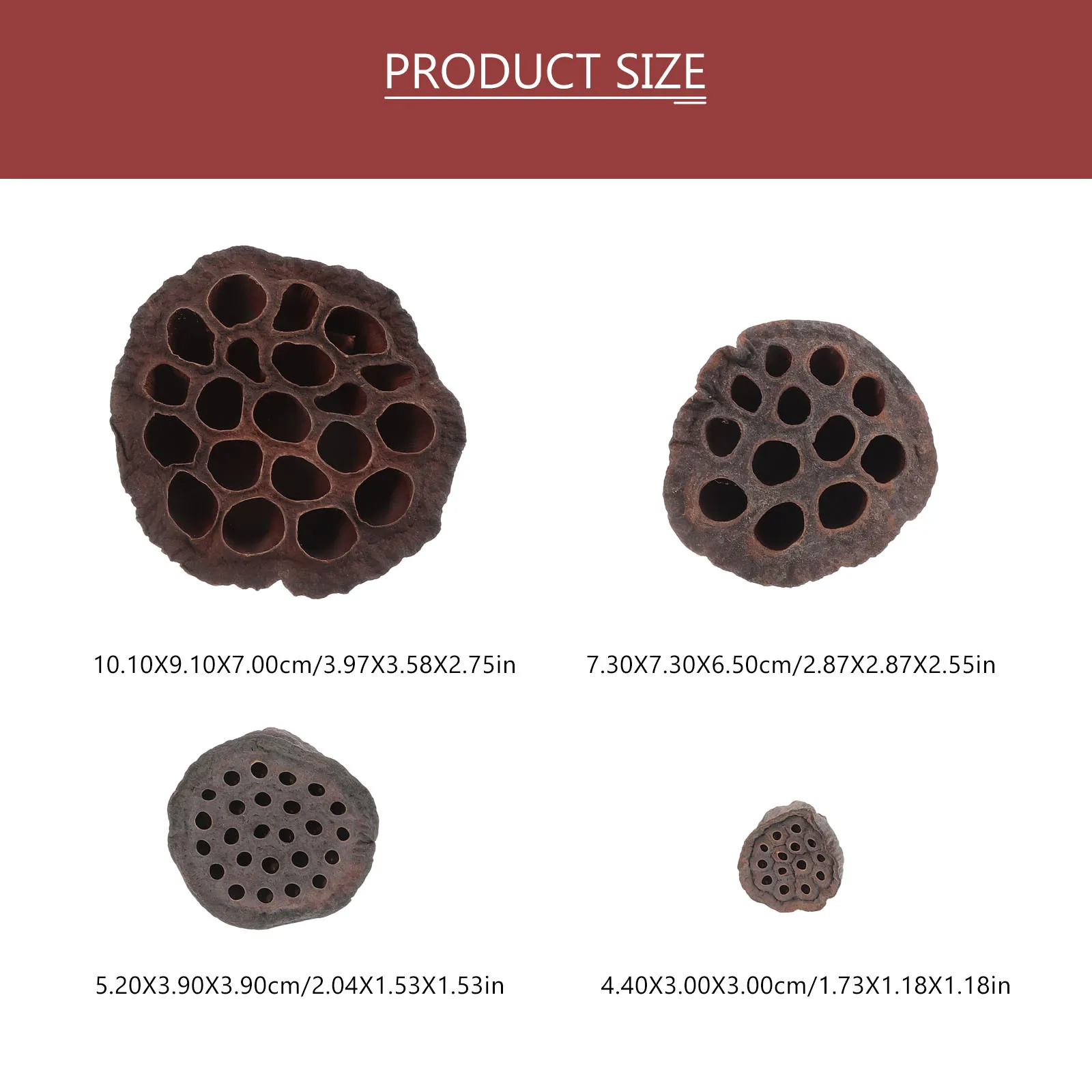 12 قطعة من بذور اللوتس المجففة الطبيعية المزخرفة لمدفأة الطاولة وحفلات المكتب وحفلات عيد الميلاد #3