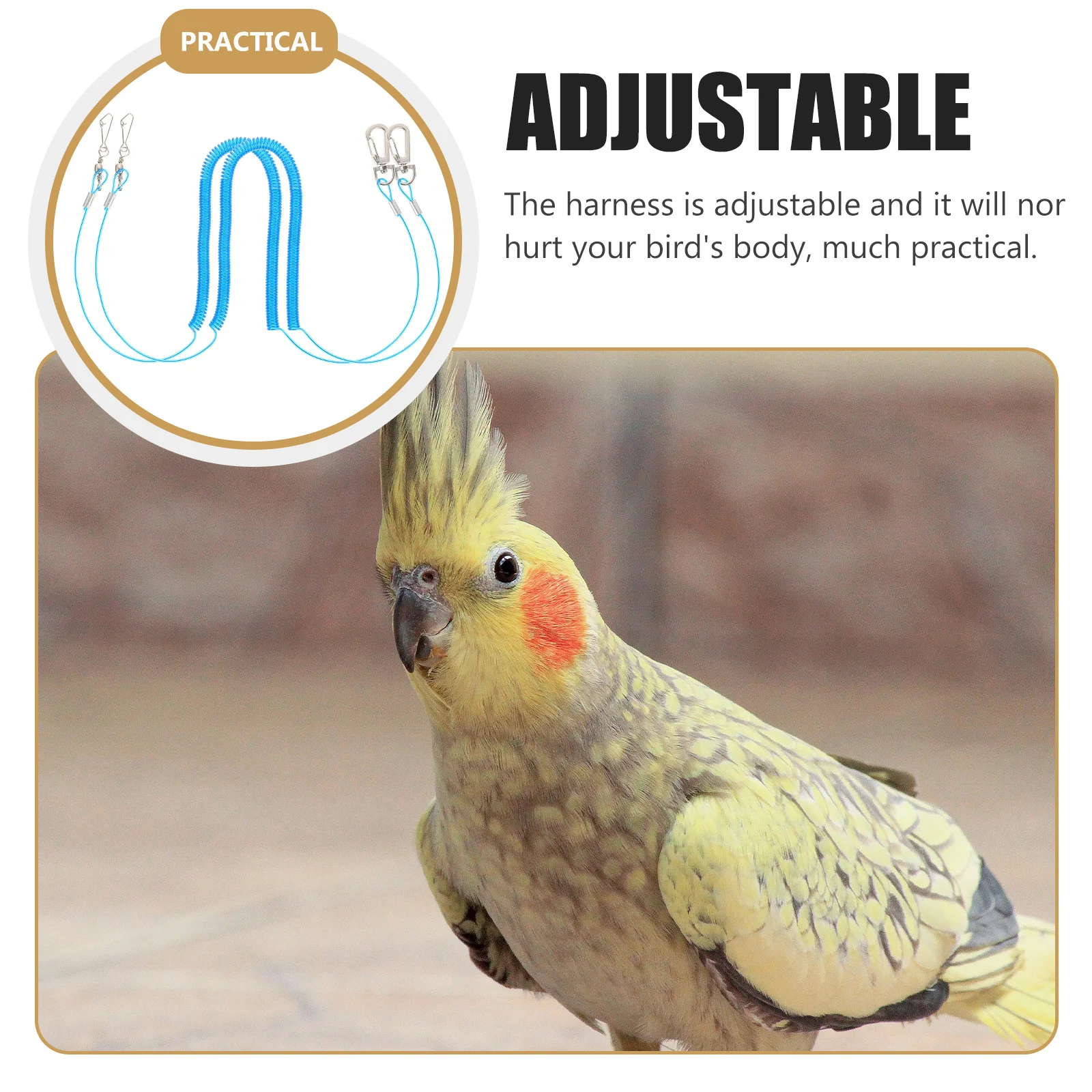 

2Pcs Parrot Harness Leash Set Sturdy Bird Fly Train Supplies for Pet Birds Outdoor Safety Harness with Easy