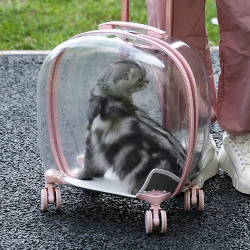 cat bag pet trolley case, portable and fully transparent pet case when going out, breathable space capsule large-capacity bubble