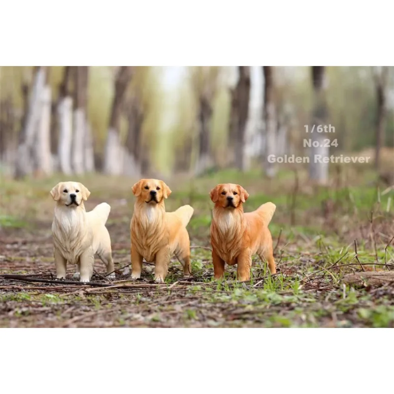 

JXK 1/6 Scale Golden Retriever Animal Model Simulation Resin Pet Periphery Toy Fit 12-inch Action Figures Body Collection