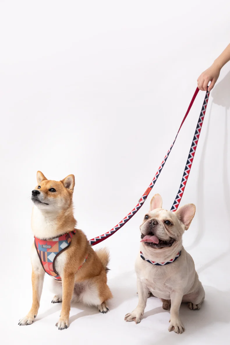 Soft Dog Adjustable Double Head Nylon Leash Running Hands Free Elastic Training Pet Bungee Jumping Dog Leash Expandable Pet Rope