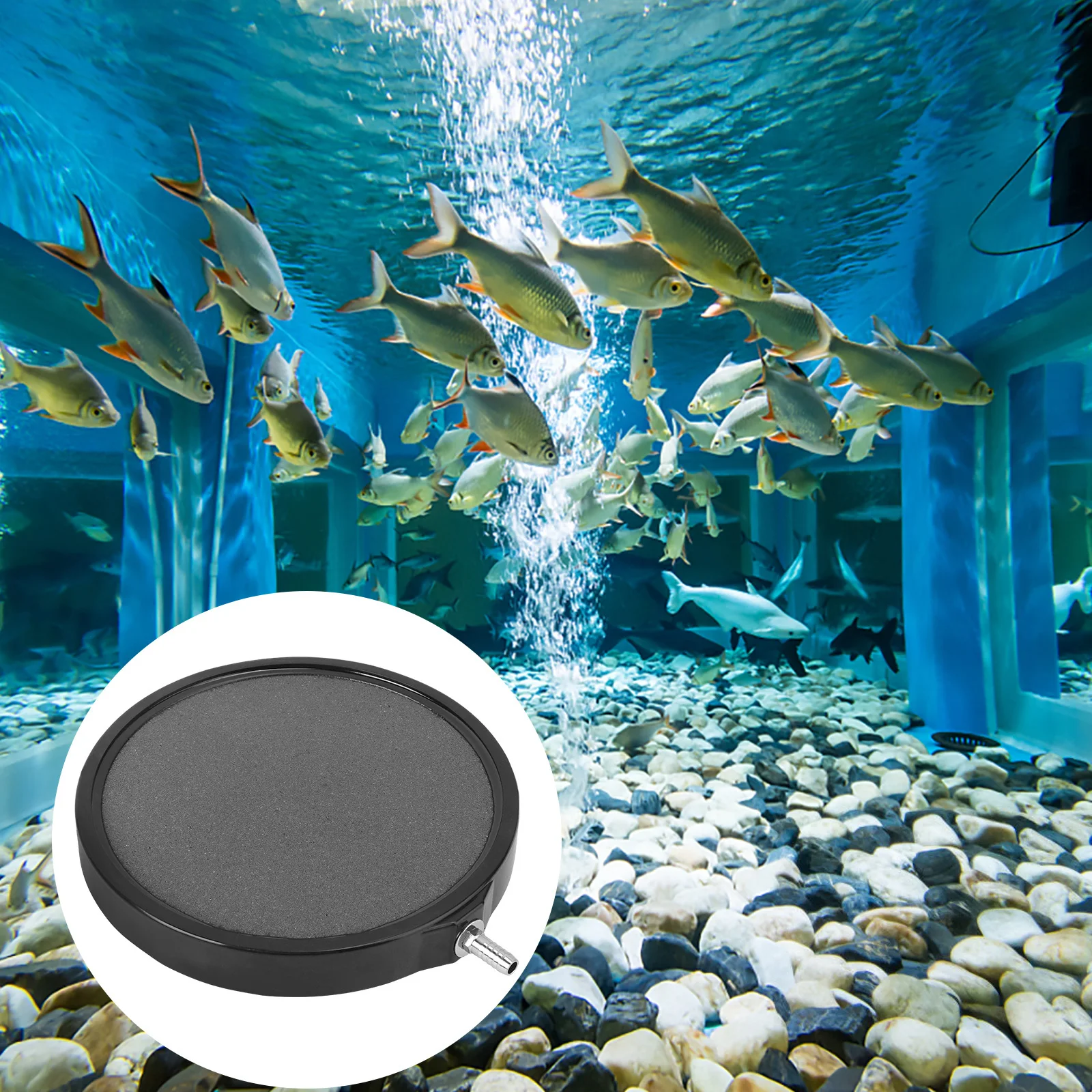 

1Pcs Fish Tank Air Stone High Temperature Bubble Stone Aquarium Oxygen Diffuser Bubble Disc for Powerful Air Pump