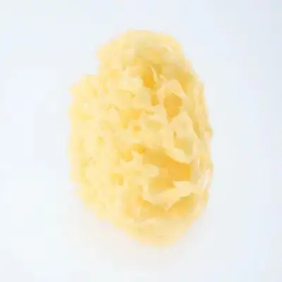 

Honeycomb Sponge Bath Ball Bathing Take Shower Exfoliant for Natural Accessories