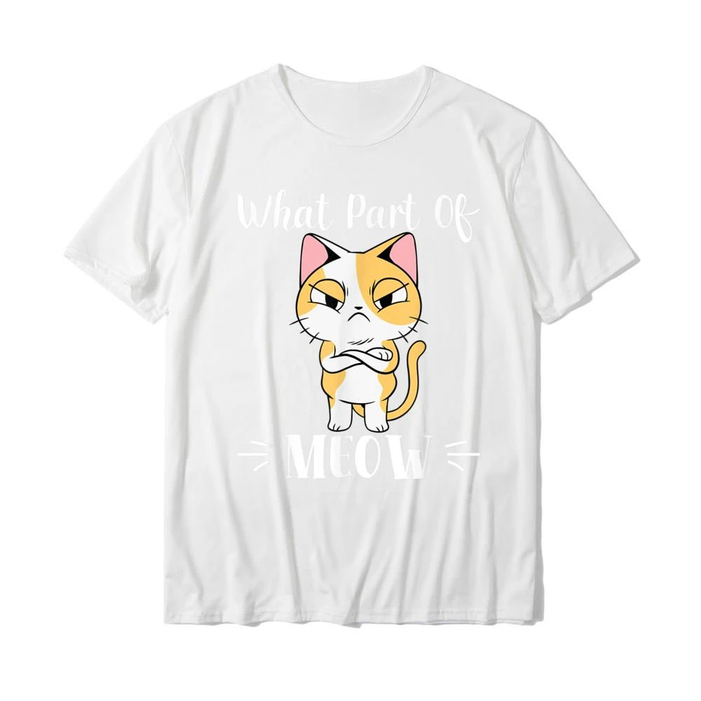 What part of Cat meow do you not understand Funny Angry cat Funny print fashion street wear retro men ladies universal T-shirt