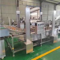 Fruit Vegetable Cleaning Line Pineapple Orange Mango Garlic  Washer Tomato Potatoes Washing Machine