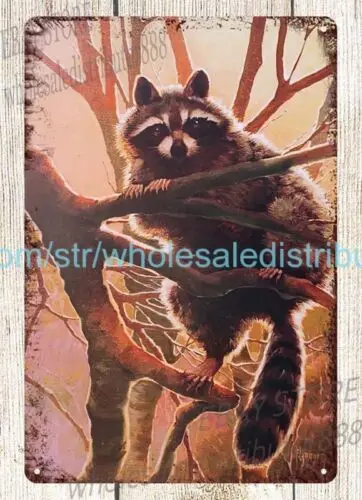 1pcs,wildlife art Racoon by Francis Jaques metal tin sign house decoration