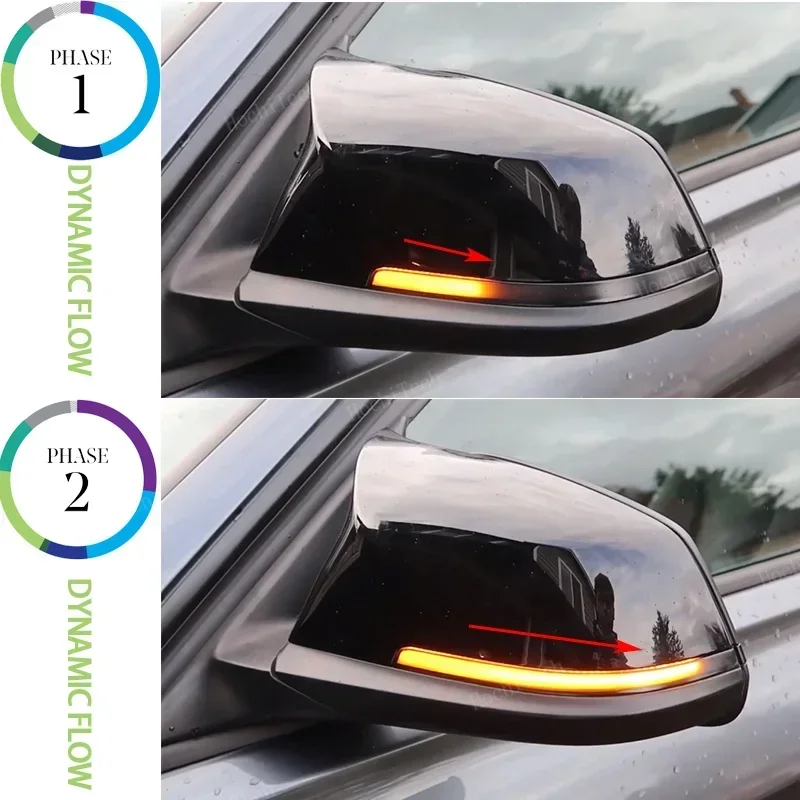 Dynamic Blinker Turn Signal Light Side Mirror Indicator LED Flashing Light for BMW 5 6 7 Series F10 F11 F07 F06 F12 F13 F01