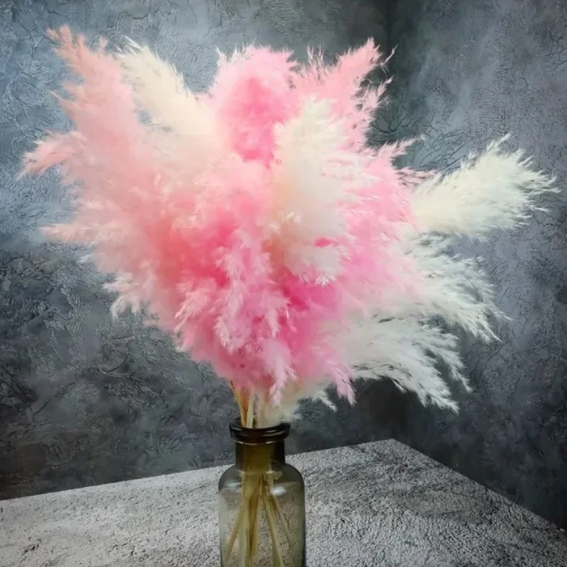 10Pcs Mix Color Pink White Fluffy Pampas Grass Boho Home Decor Natural Real Plant Suszone Kwiaty z Łodygami Ślubne Centerpieces