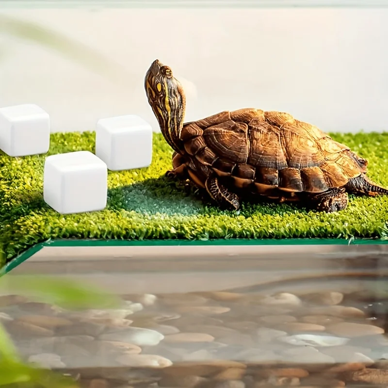 6 Stück Aquarium-Kalziumblöcke, Mineralien, Aquariumzubehör, Kletterwürfel für Reptilien, Schleifsteine für Schildkröten, Aquarium-Kalzium für Schnecken – Detail 3