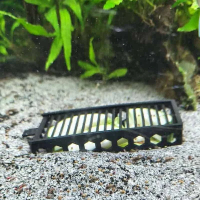 Aquarium Snail Trap Aquatic Pest Catcher Fish Tank Snail Capture Box Slotted Invasive Snail Removing Device For Water Tank