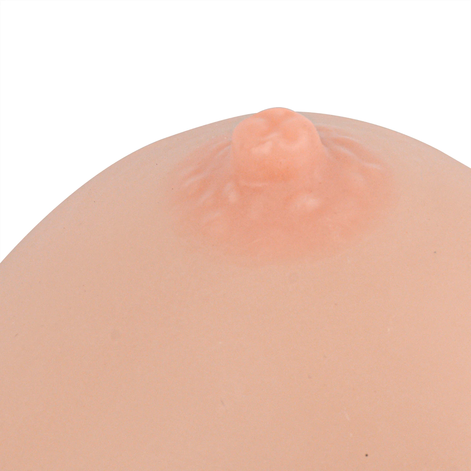 Silicone Lactation & Breastfeeding Education Breast Model